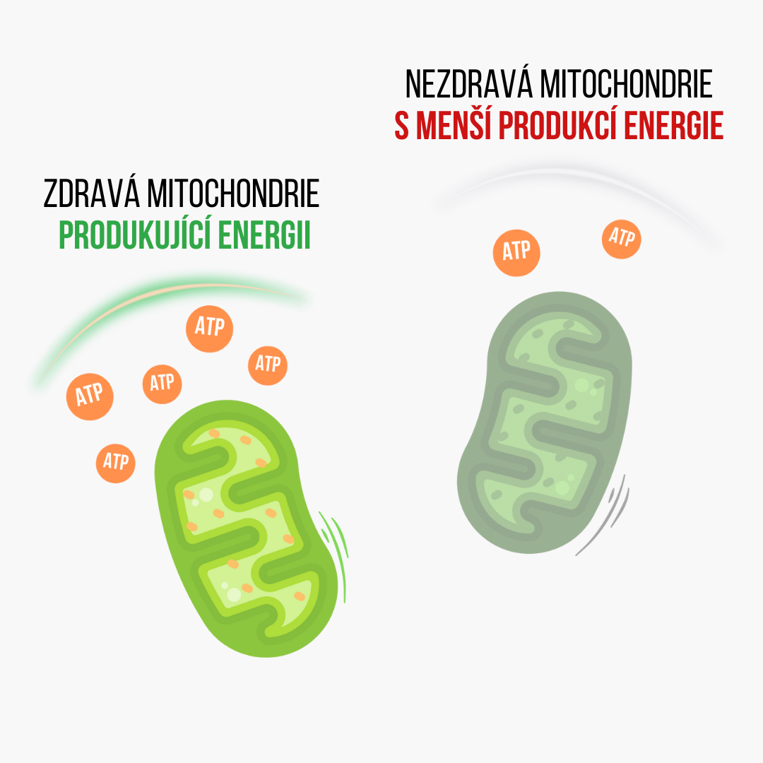 Magnez energetyczny